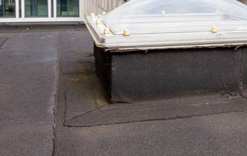 disadvantages of Aberyscir flat roofs